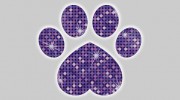 Four Paws Mobile Pet Grooming