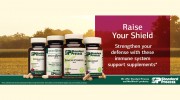 Pine City Family Chiropractic