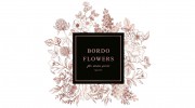 Bordo Flowers Chicago