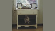 Pine Hill Farm Pet Care