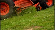 Manuel Landscaping