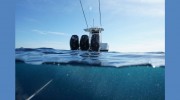4reel Fishing Charters Offshore Islamorada Florida Keys