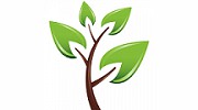 Montrose Tree Services