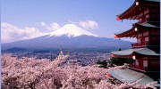 Global Translations Group