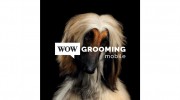 Wow Grooming