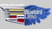 Hamptons Blue Bird Limo