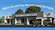 Hilton Animal Hospital