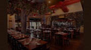 Taverna Opa Orlando