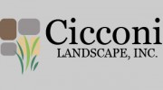 Cicconi Landscape