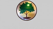 Medicine Tree Pharmacy