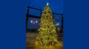 Holiday Lighting Of Massachusetts