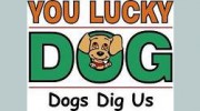 You Lucky Dog Pet Resort