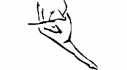 Docksiders Gymnastics
