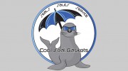 Cool Seal Gaskets