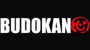 Budokan Martial Arts Academy