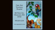 Cape Ann Veterinary Hospital