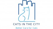 Cats In The City