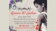 Narisara 3D Eyebrow