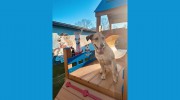 Mannsdale Animal Clinic