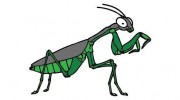 Mantis Pest Control Services