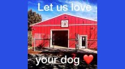 Pet Paradise