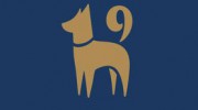 K-9 Resorts