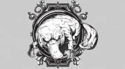 Platinum Platypus