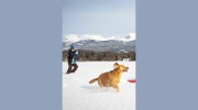 Pet Pantry & Dog Wash