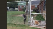 Happy Tails Groom & Board
