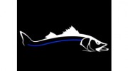 Blue Line Fishing Charters