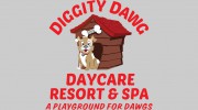 Diggity Dawg Daycare Resrt-Spa