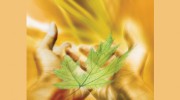 Aziza Doumani Reiki & Wellbeing