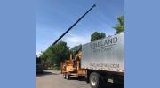 Vineland Tree Care