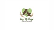 Dogs By Design Holistic Wellness Center