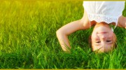 Grassmaster Plus