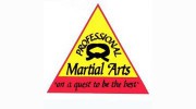 Professional Martial Arts