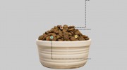 Blackwood Pet Food