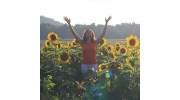 Sunflower Yoga