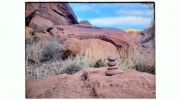 Soul Tree Counseling & Wellness