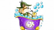 Sherlock Bones Mobile Grooming