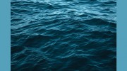 Marine Maintenance Managers