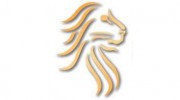 Schulfer & Associates Financial Pro