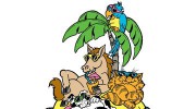A Pet's Paradise