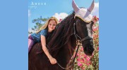 Palm City Equestrians