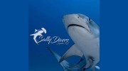 Salty Divers