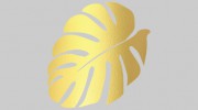 Maui International Real Estate