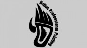 Dallas Professional Painting