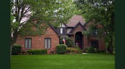 Little Elm Tree Service