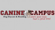 Canine Campus Dog Daycare & Boarding