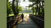 Bike The Greenway